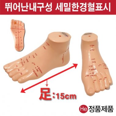 발경혈모형 15cm HD6002ZY 인체모형 사람인체구조 아나토미 뇌구조 대뇌 위모형 간모형 뇌모형 두개골 척추 인대 근육모형 인체해부도 뇌혈관 전신모형 동인형 뇌해부 인체모형 소형 사람인체구조 아나토미 위모형 간모형 뇌모형 두개골 척추 인대 근육모형 인체해부도 척골 요골 전신모형 동인형 경혈인형 손모형 발모형