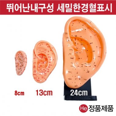 귀모형 13cm HD3002ZY 인체모형 사람인체구조 아나토미 뇌구조 대뇌 위모형 간모형 뇌모형 두개골 척추 인대 근육모형 인체해부도 뇌혈관 전신모형 동인형 뇌해부 인체모형 소형 사람인체구조 아나토미 위모형 간모형 뇌모형 두개골 척추 인대 근육모형 인체해부도 척골 요골 전신모형 동인형 경혈인형 손모형 발모형